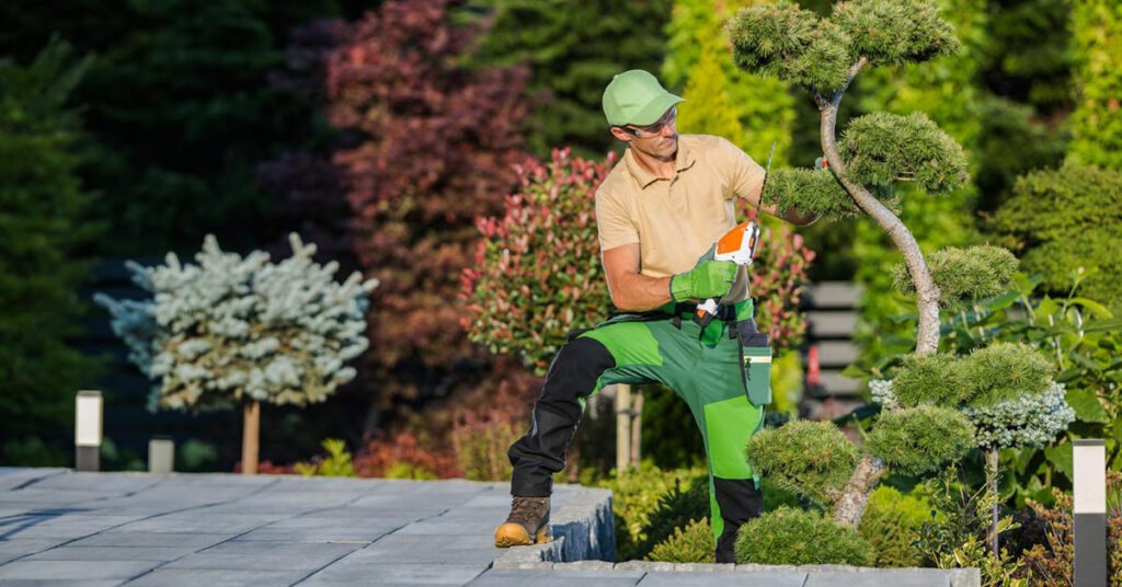 how to start a landscaping business with no money