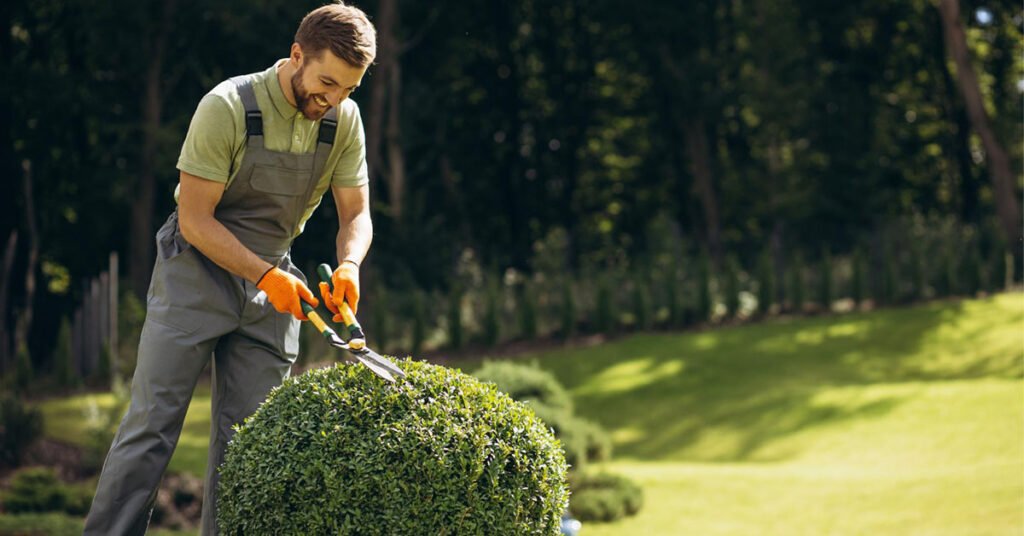 what landscapers do in the winter