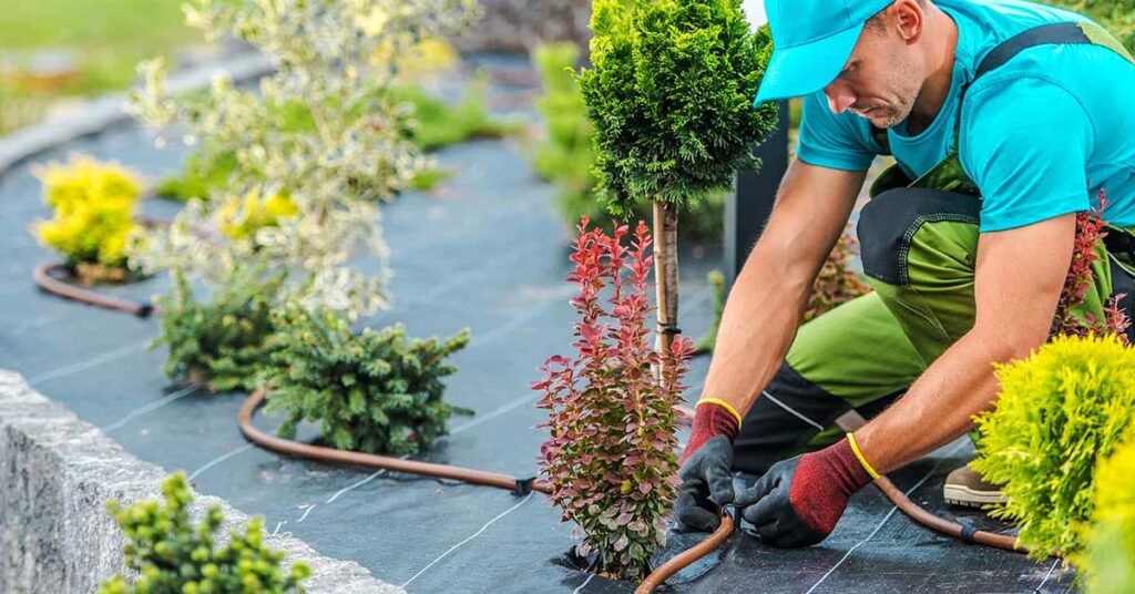 how much does it cost to start a landscaping business