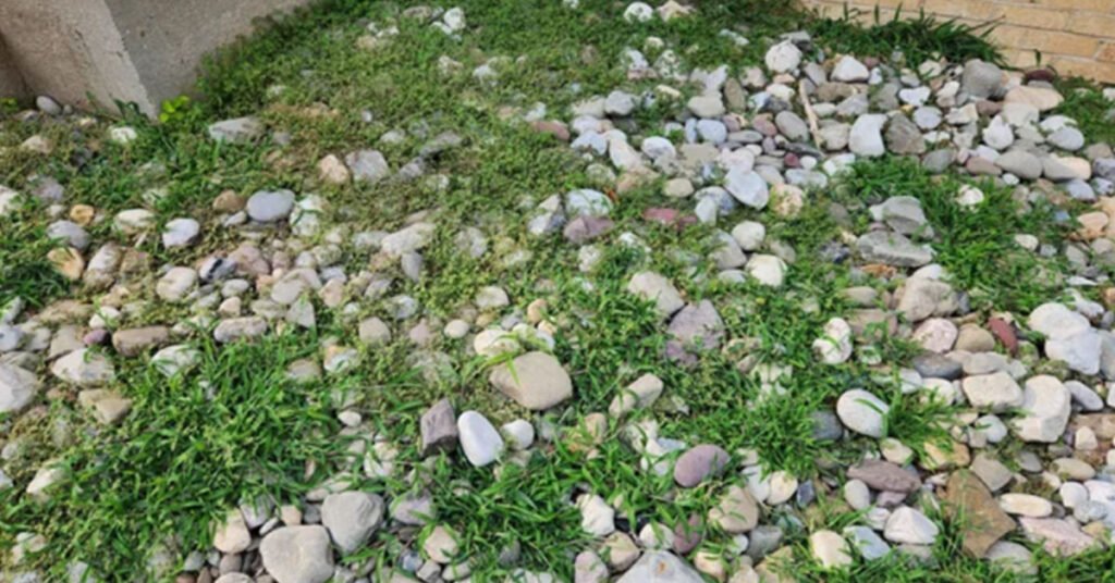 How to Prevent Weeds in Rock Landscaping