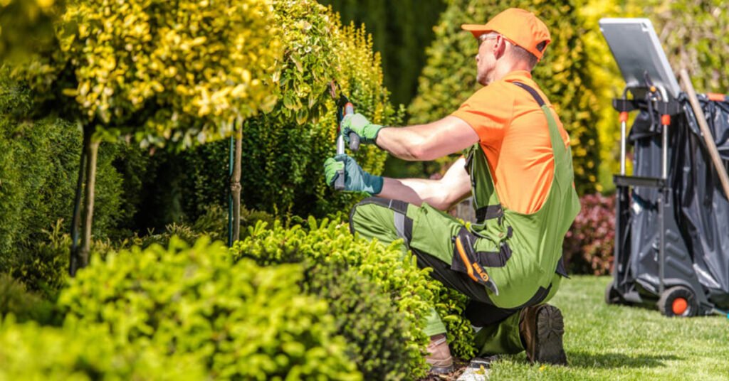 how to get insurance for landscaping business