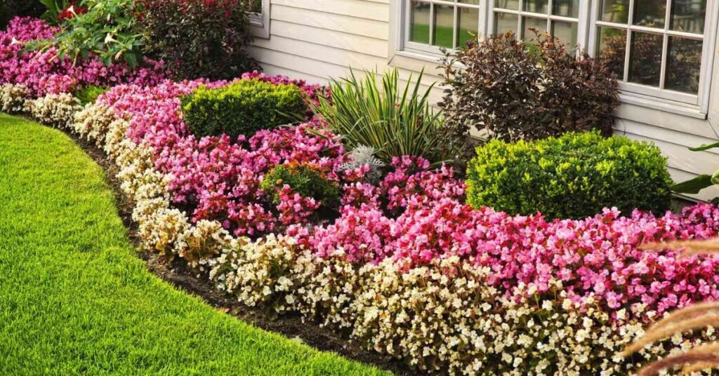 How to Do Landscape Edging