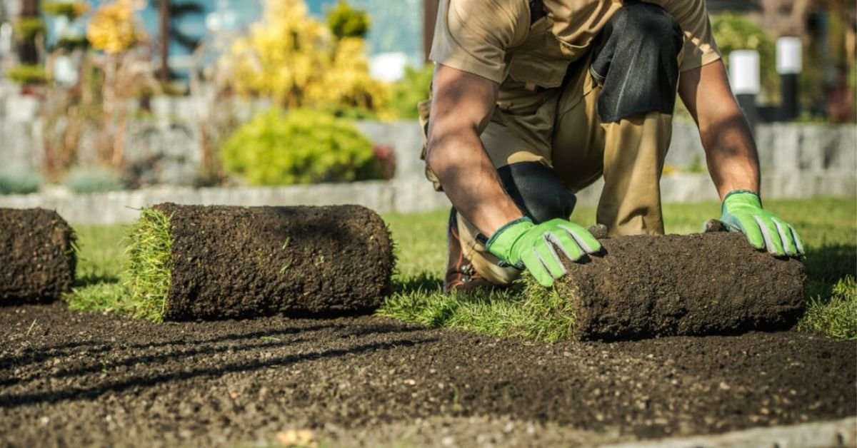 do you need a license to do landscaping in california