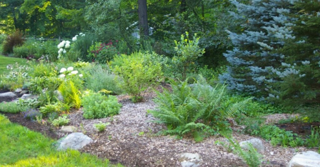 how to make landscape mounds