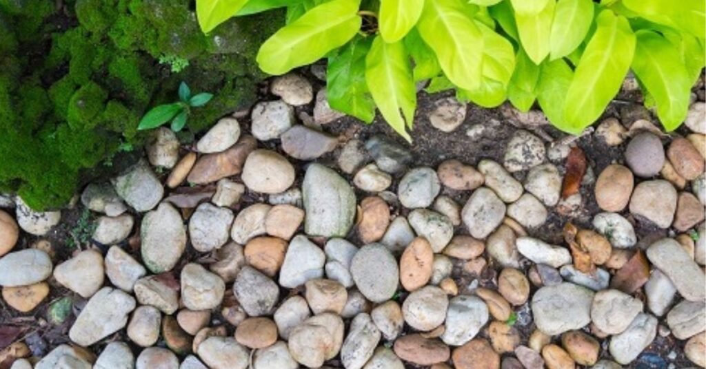 how to make landscaping rocks look wet